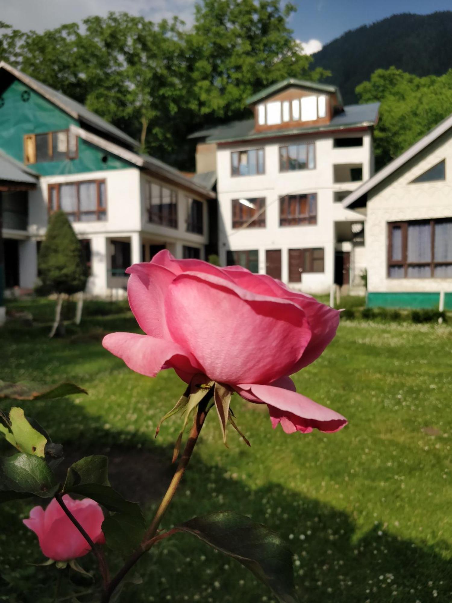 The K2 Alpine Hotel Pahalgām Buitenkant foto